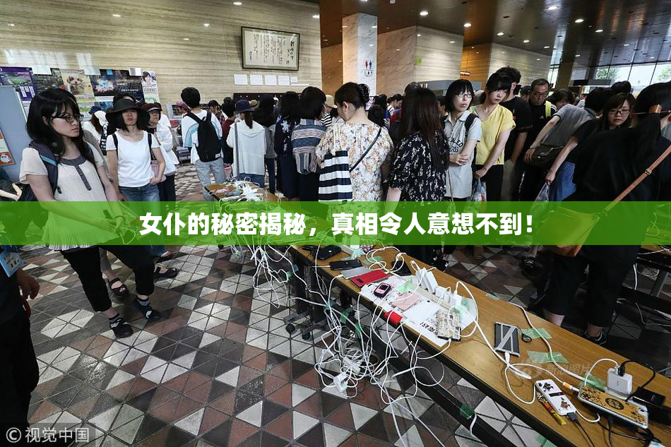 女仆的秘密揭秘，真相令人意想不到！