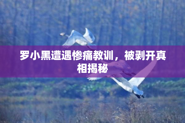 罗小黑遭遇惨痛教训，被剥开真相揭秘