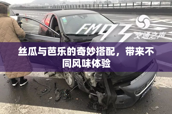 丝瓜与芭乐的奇妙搭配，带来不同风味体验