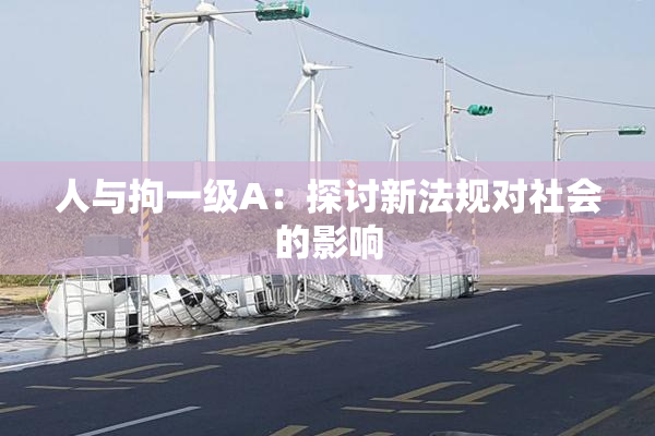 人与拘一级A：探讨新法规对社会的影响