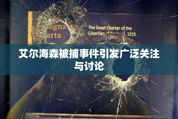 艾尔海森被捕事件引发广泛关注与讨论