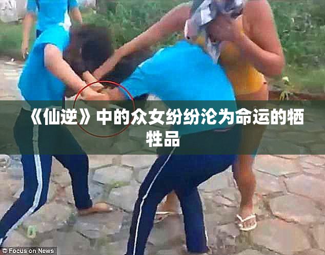 《仙逆》中的众女纷纷沦为命运的牺牲品