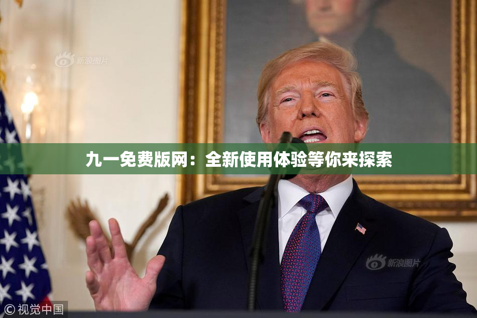 九一免费版网：全新使用体验等你来探索