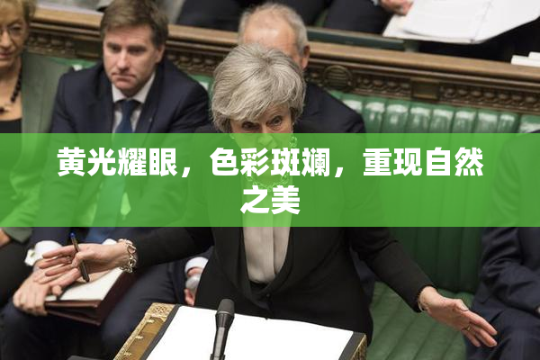 黄光耀眼，色彩斑斓，重现自然之美