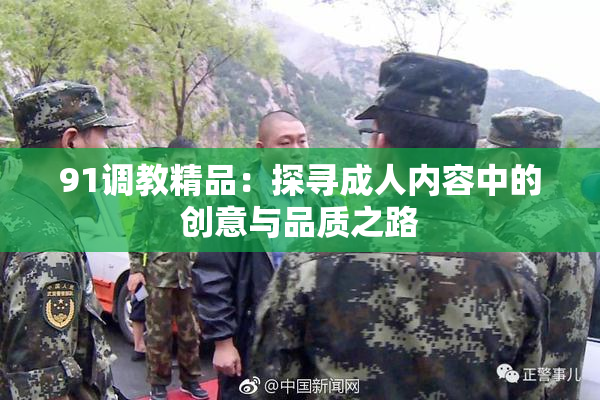 91调教精品：探寻成人内容中的创意与品质之路