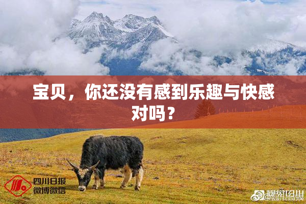 宝贝，你还没有感到乐趣与快感对吗？