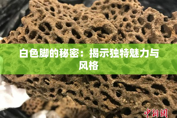 白色脚的秘密：揭示独特魅力与风格