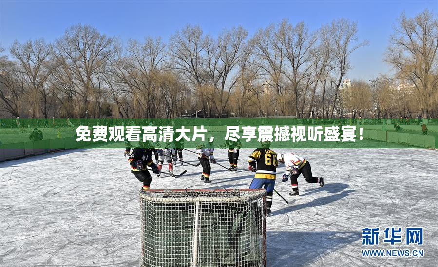 免费观看高清大片，尽享震撼视听盛宴！