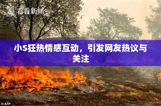 小S狂热情感互动，引发网友热议与关注