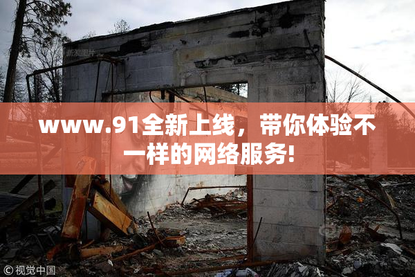 www.91全新上线，带你体验不一样的网络服务!