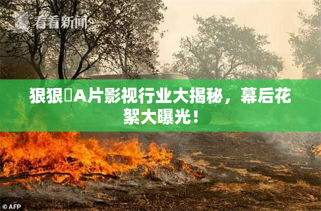 狠狠穞A片影视行业大揭秘，幕后花絮大曝光！