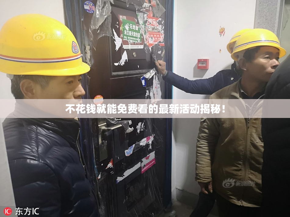 不花钱就能免费看的最新活动揭秘！
