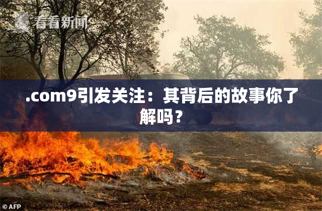 .com9引发关注：其背后的故事你了解吗？