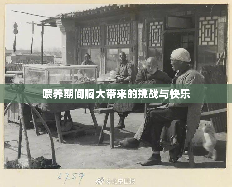 喂养期间胸大带来的挑战与快乐