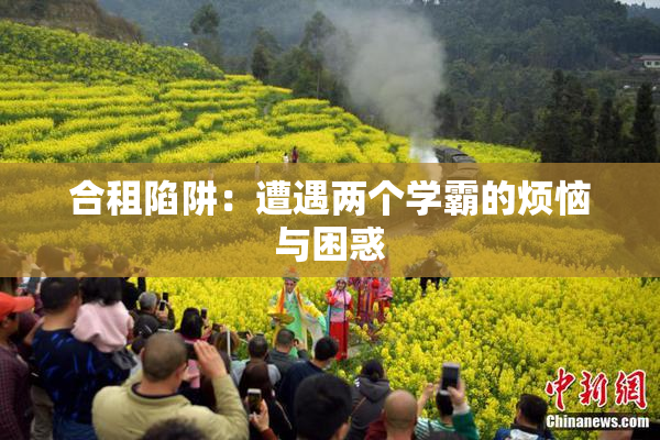 合租陷阱：遭遇两个学霸的烦恼与困惑