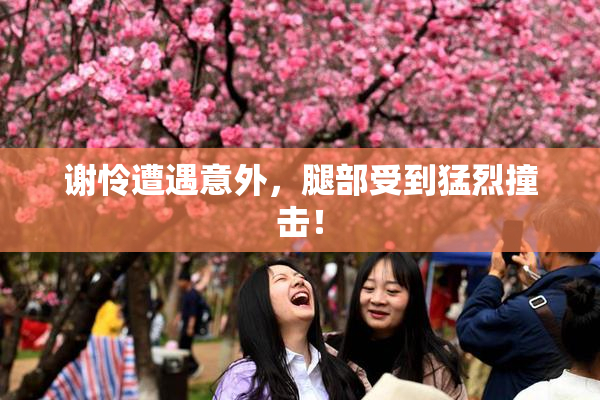 谢怜遭遇意外，腿部受到猛烈撞击！