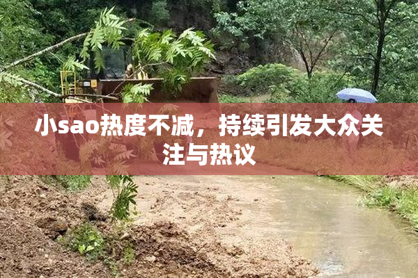 小sao热度不减，持续引发大众关注与热议