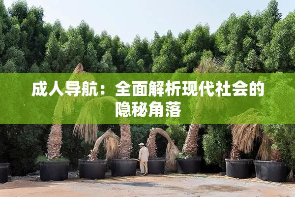成人导航：全面解析现代社会的隐秘角落