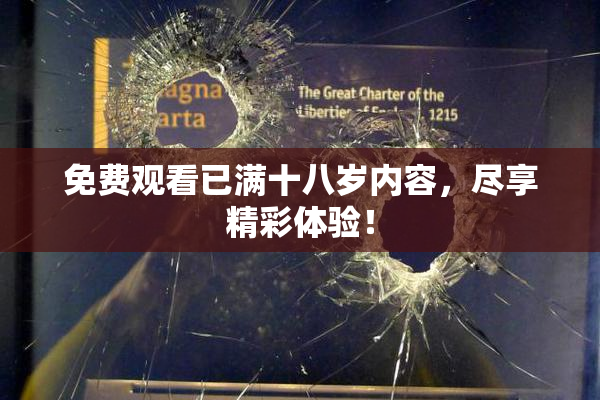 免费观看已满十八岁内容，尽享精彩体验！