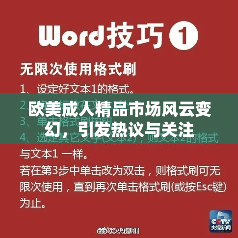欧美成人精品市场风云变幻，引发热议与关注