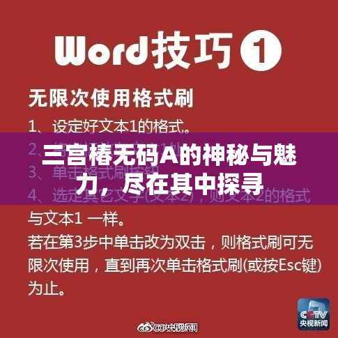 三宫椿无码A的神秘与魅力，尽在其中探寻