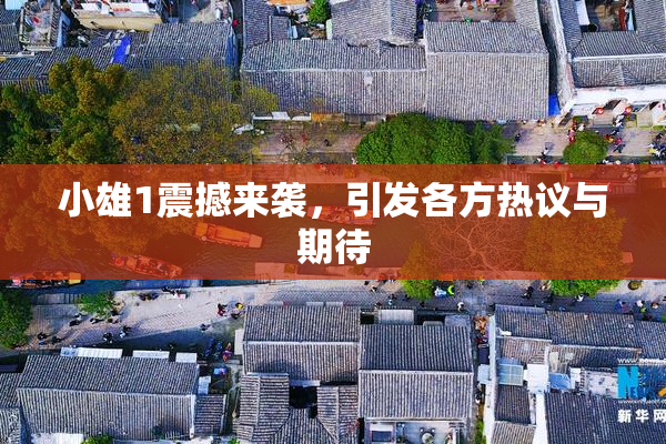 小雄1震撼来袭，引发各方热议与期待