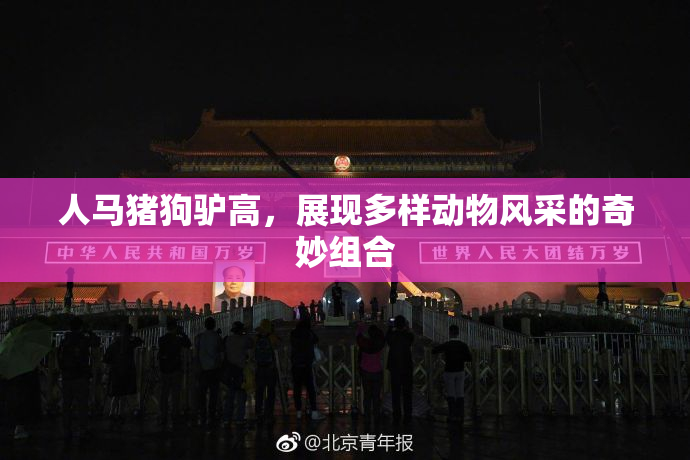 人马猪狗驴高，展现多样动物风采的奇妙组合