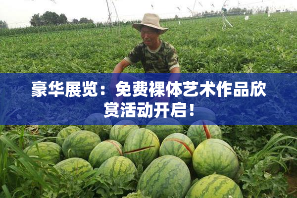 豪华展览：免费裸体艺术作品欣赏活动开启！