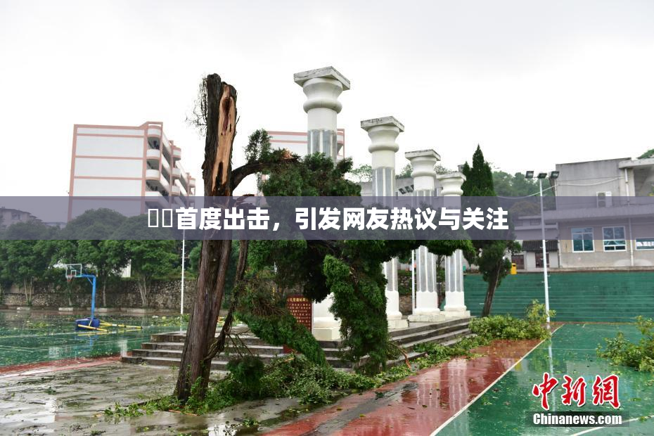 妺妺首度出击，引发网友热议与关注