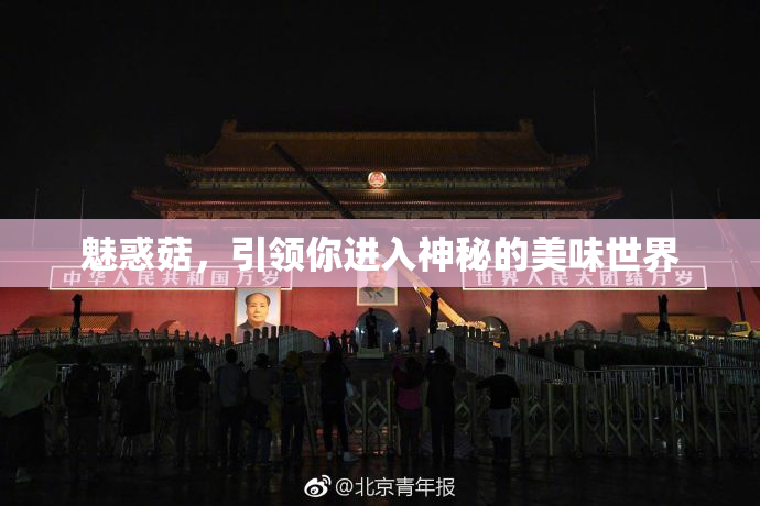 魅惑菇，引领你进入神秘的美味世界