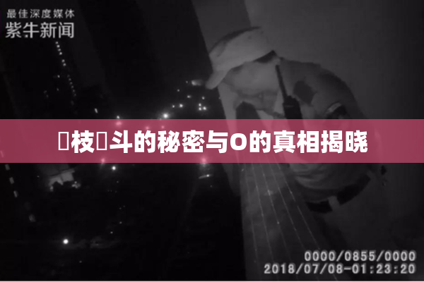 狛枝凪斗的秘密与O的真相揭晓