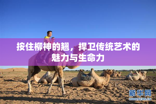 按住柳神的翘，捍卫传统艺术的魅力与生命力
