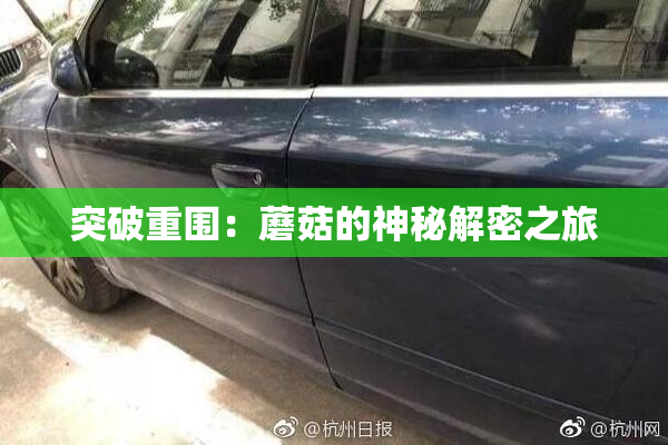 突破重围：蘑菇的神秘解密之旅