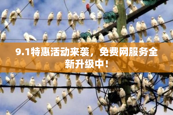9.1特惠活动来袭，免费网服务全新升级中！
