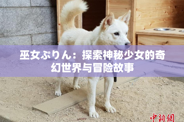 巫女ぷりん：探索神秘少女的奇幻世界与冒险故事