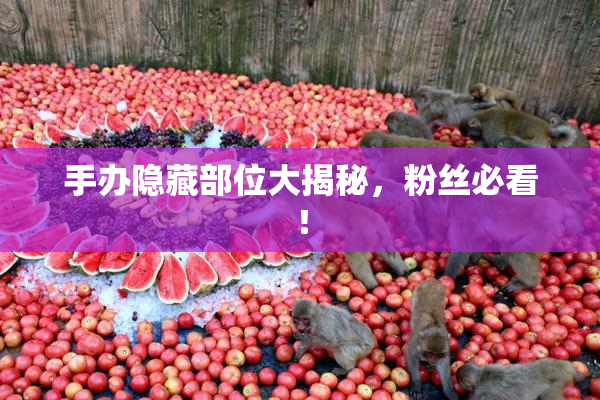 手办隐藏部位大揭秘，粉丝必看！
