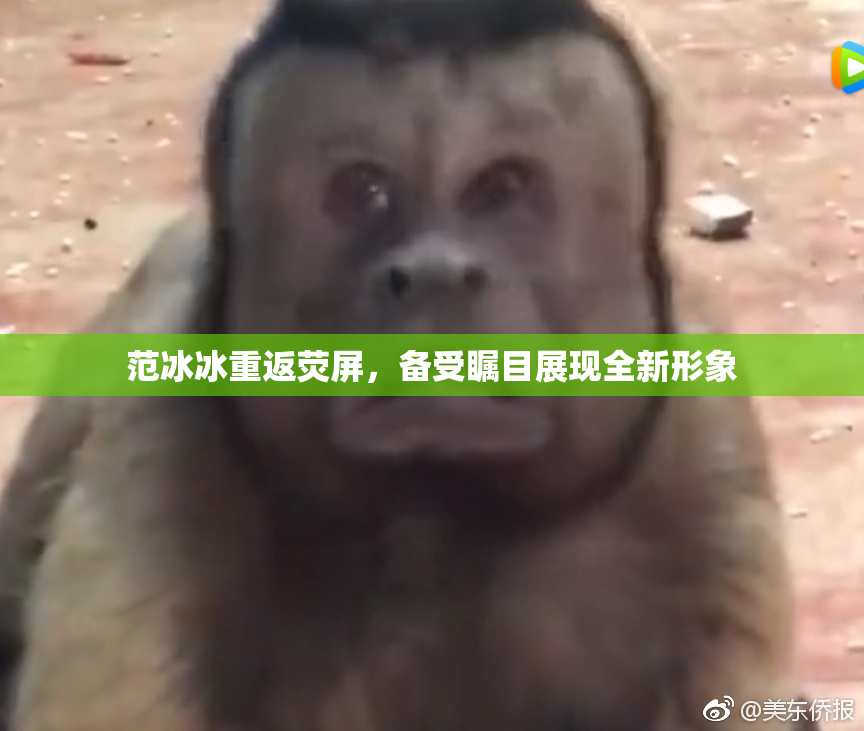 范冰冰重返荧屏，备受瞩目展现全新形象