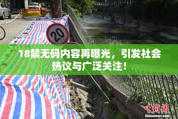 18禁无码内容再曝光，引发社会热议与广泛关注！