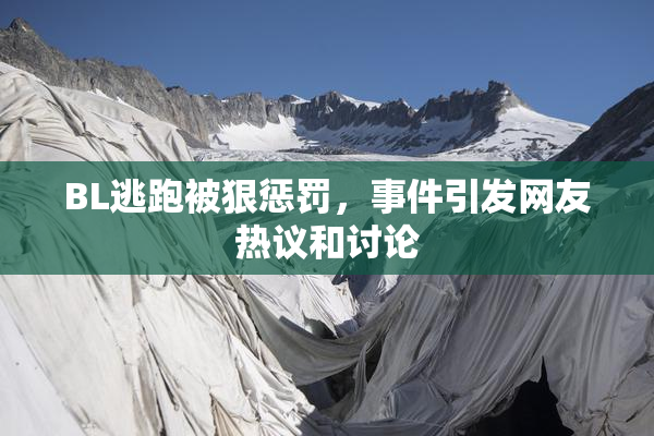 BL逃跑被狠惩罚，事件引发网友热议和讨论