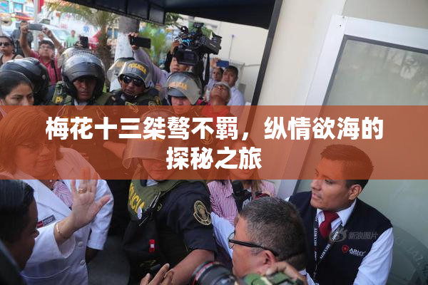 梅花十三桀骜不羁，纵情欲海的探秘之旅