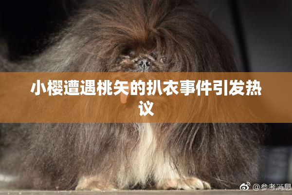 小樱遭遇桃矢的扒衣事件引发热议