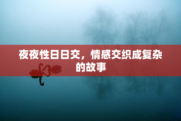 夜夜性日日交，情感交织成复杂的故事