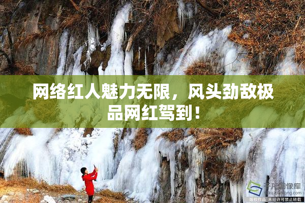 网络红人魅力无限，风头劲敌极品网红驾到！