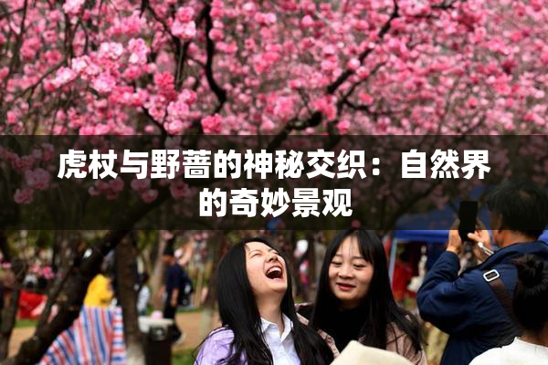 虎杖与野蔷的神秘交织：自然界的奇妙景观