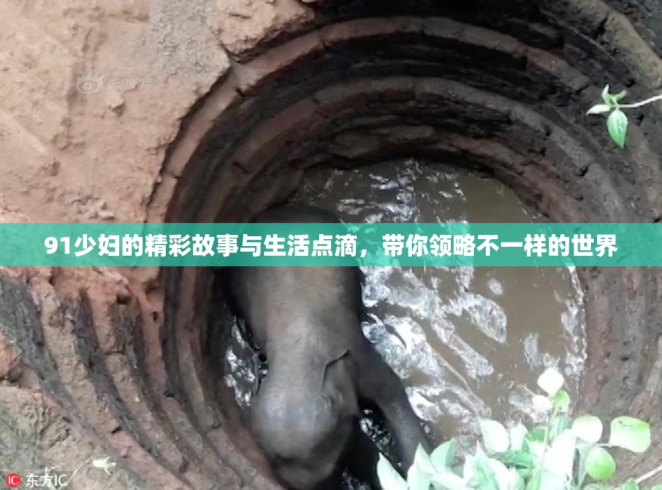 91少妇的精彩故事与生活点滴，带你领略不一样的世界