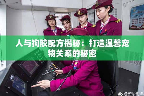 人与狗胶配方揭秘：打造温馨宠物关系的秘密