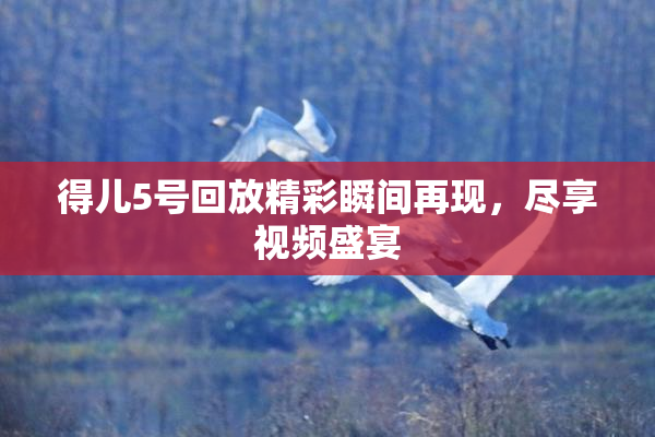 得儿5号回放精彩瞬间再现，尽享视频盛宴