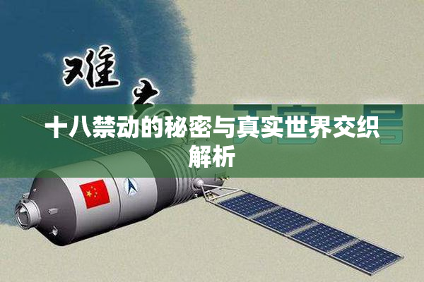 十八禁动的秘密与真实世界交织解析