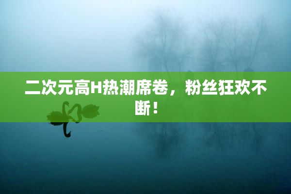 二次元高H热潮席卷，粉丝狂欢不断！