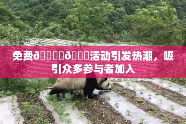 免费🔞‌🍌活动引发热潮，吸引众多参与者加入